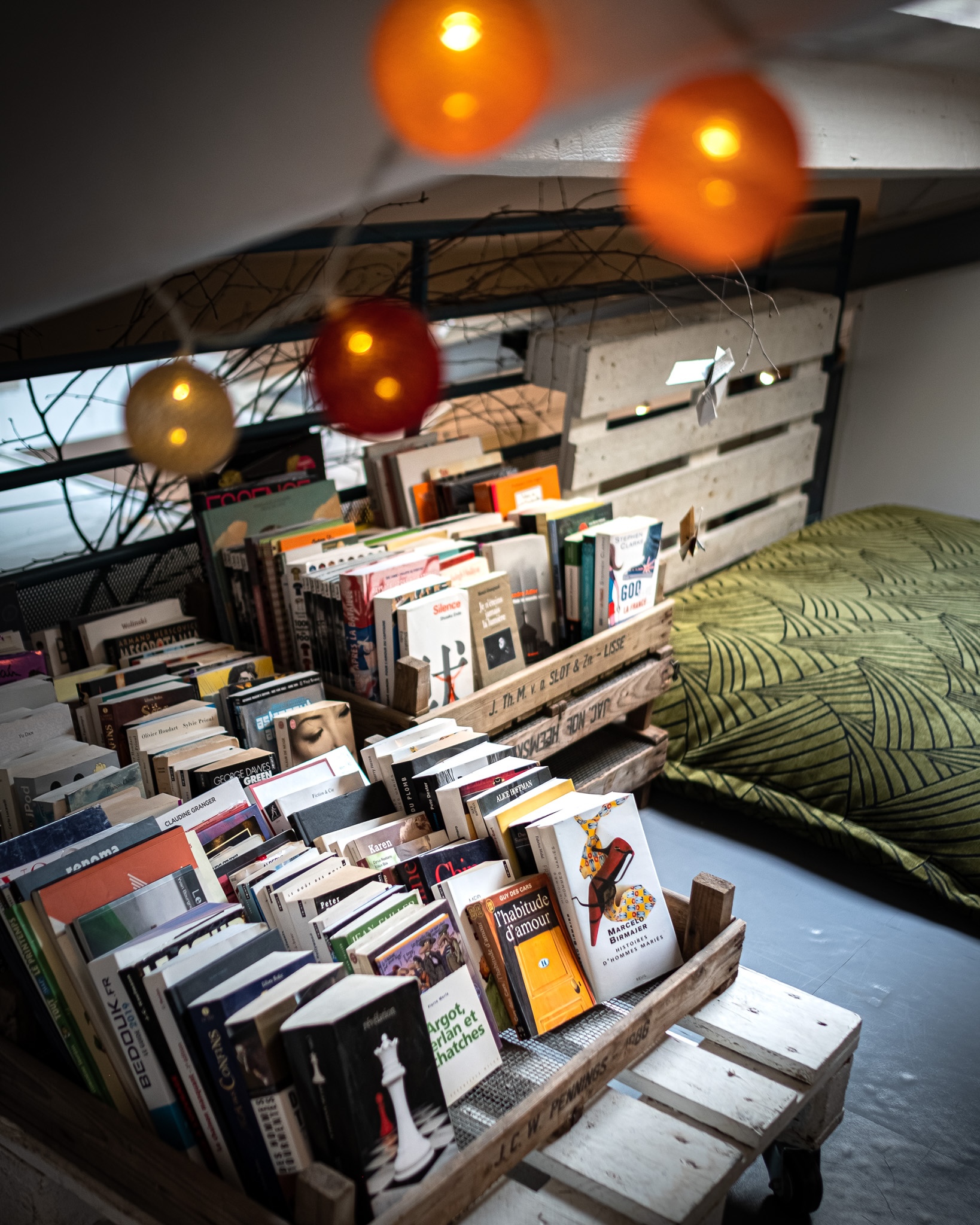 Lennon et frida – 4